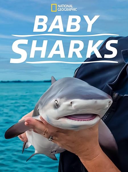 Cá Mập Con (Baby Sharks) [2022]