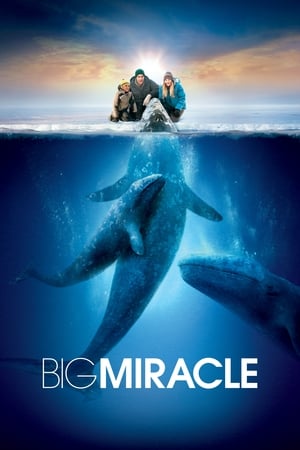 Giải Cứu Cá Heo (Big Miracle) [2012]