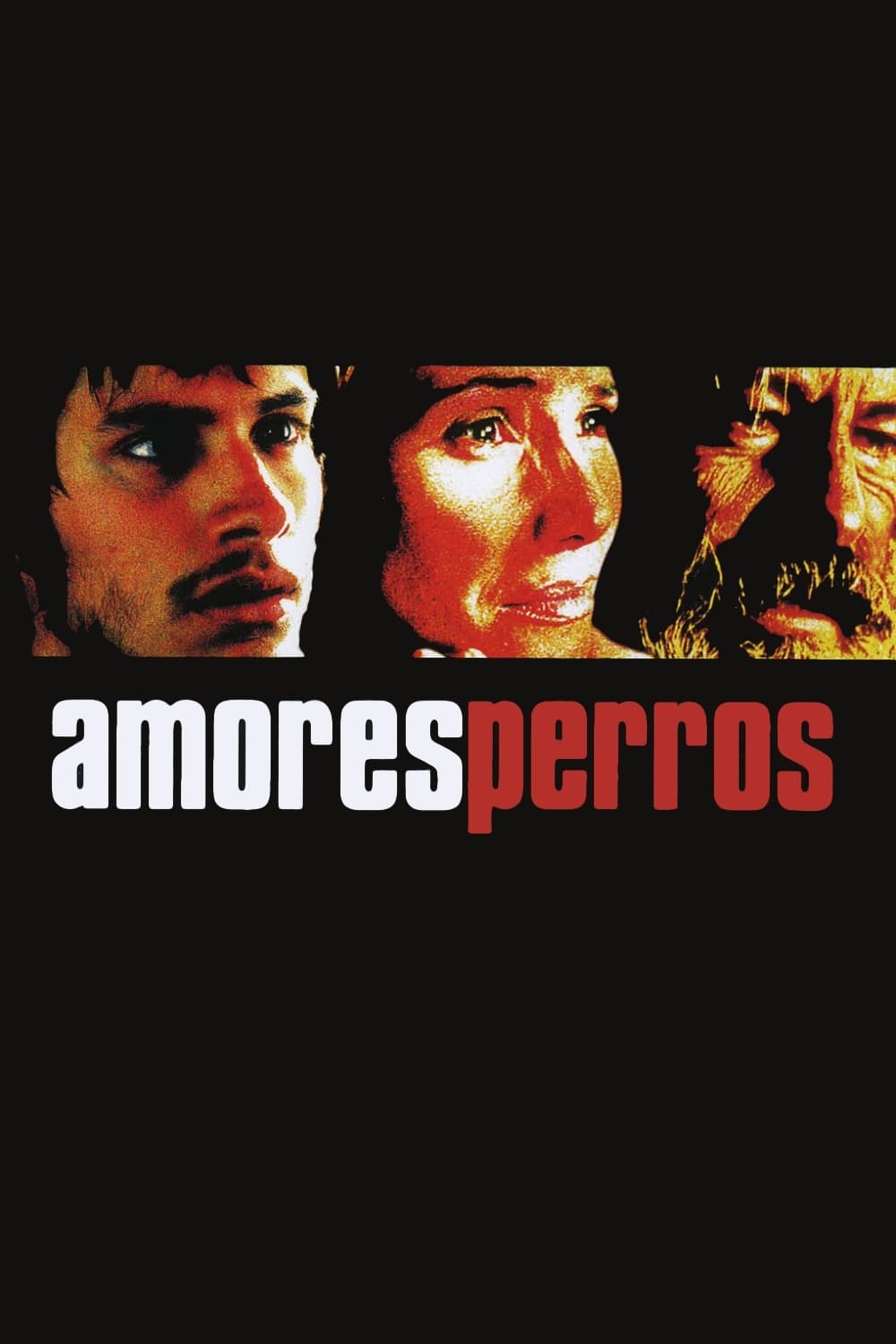 Kẻ Vô Đạo (Amores perros) [2000]