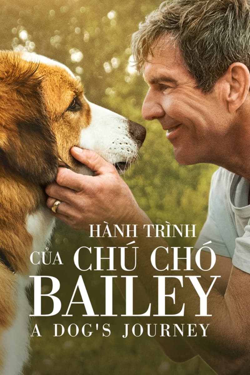 Hành Trình Của Chú Chó Bailey (A Dog's Journey) [2019]