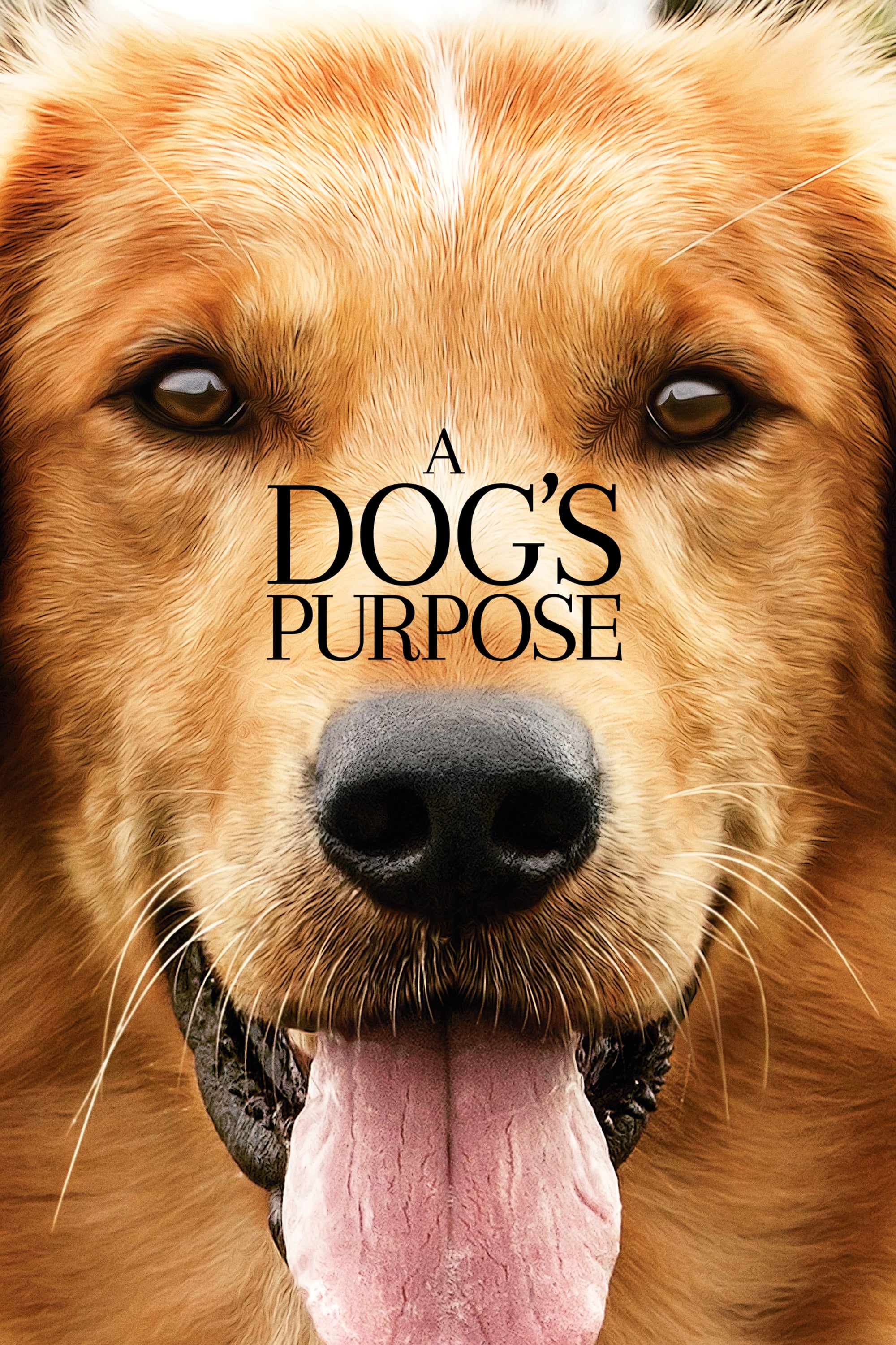Mục Đích Sống Của Một Chú Chó (A Dog's Purpose) [2017]