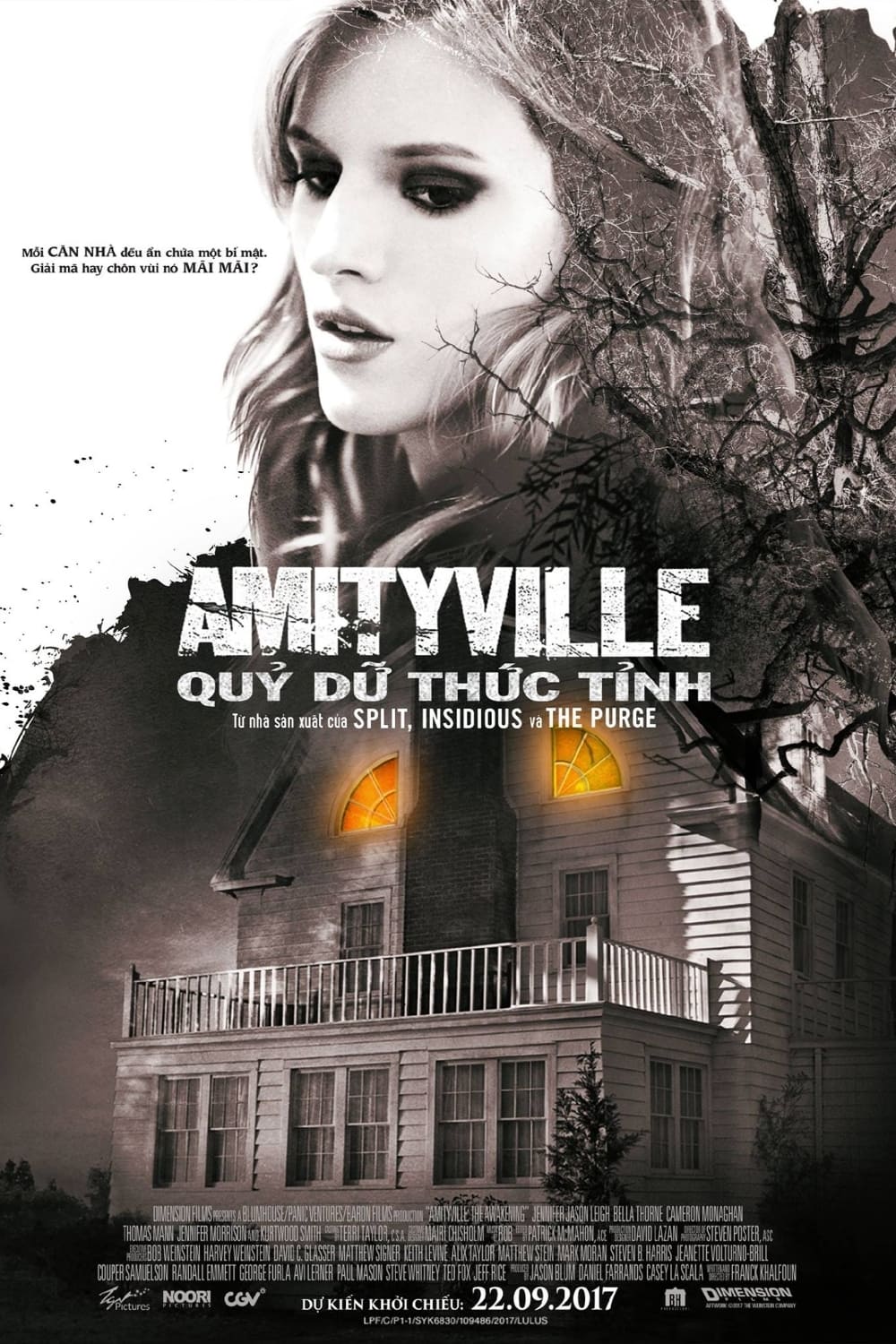 Amityville: Quỷ Dữ Thức Tỉnh (Amityville: The Awakening) [2017]