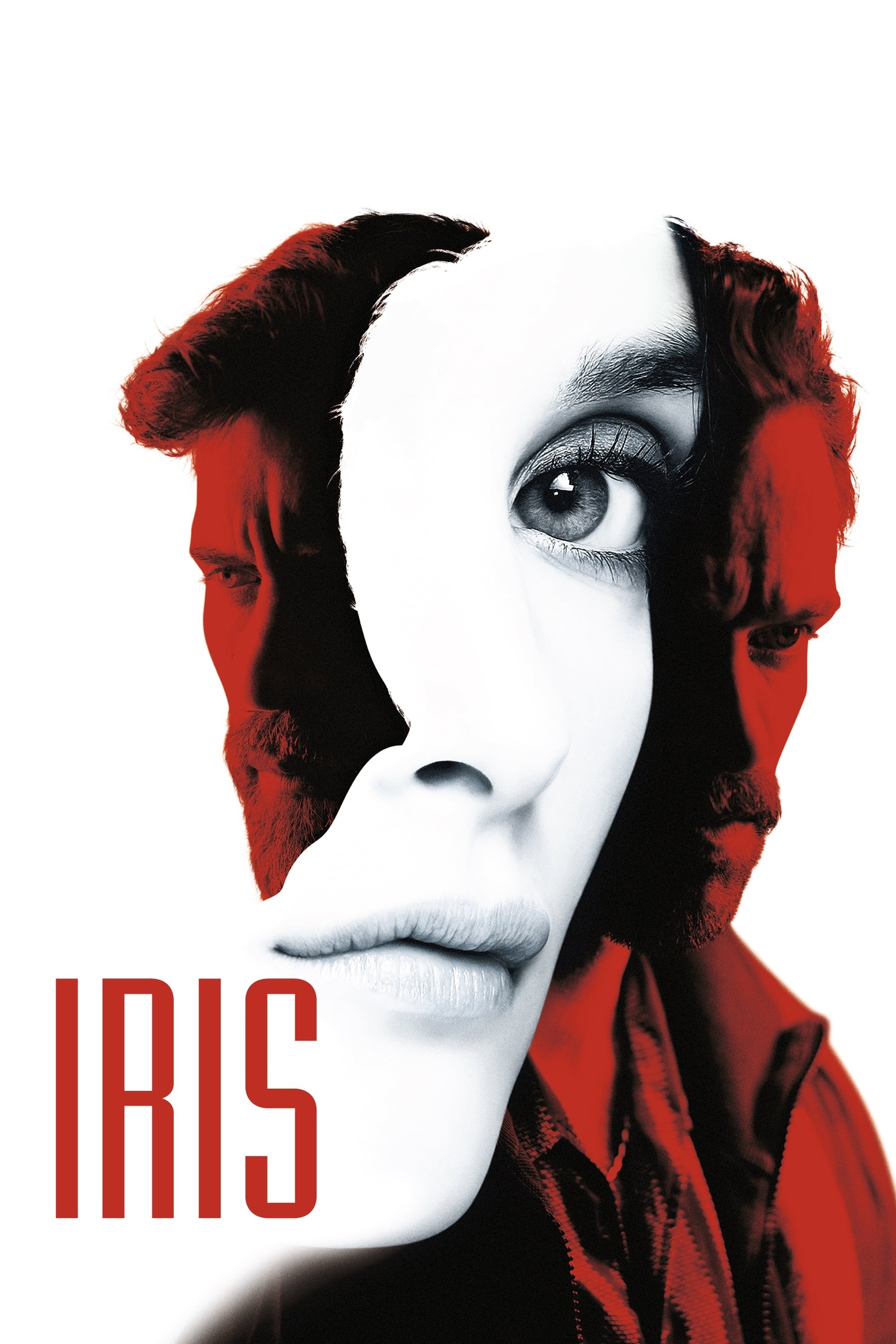 Truy tìm Iris - In the Shadow of Iris (2016)