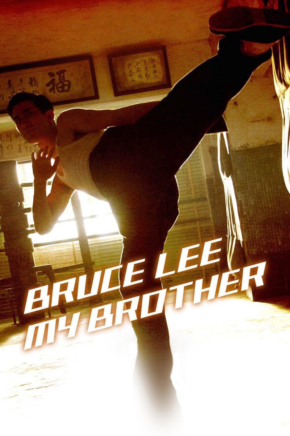 Huyền Thoại Lý Tiểu Long (Bruce Lee, My Brother) [2010]