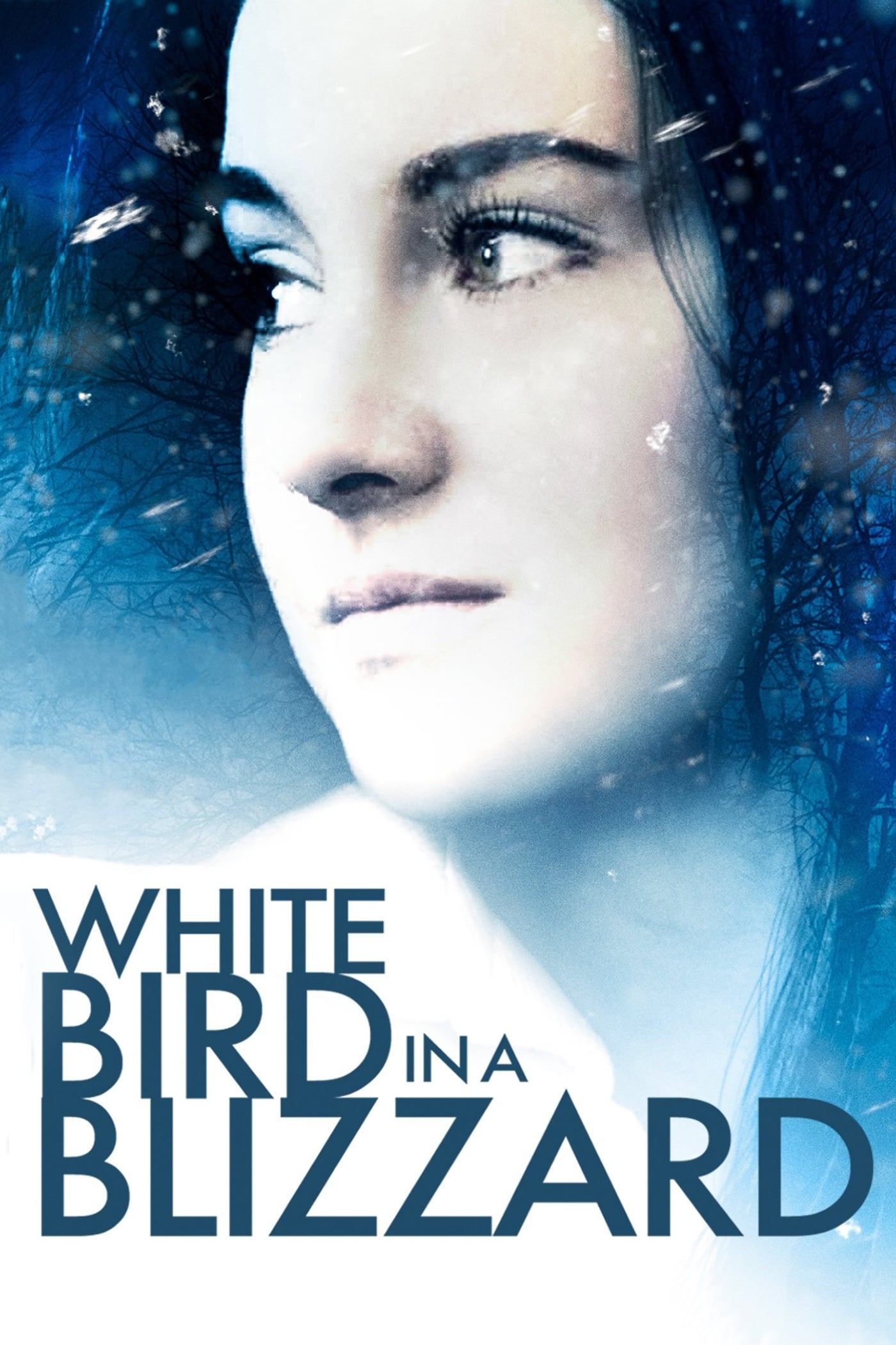 Chim Trắng Giữa Bão Tuyết (White Bird in a Blizzard) [2014]