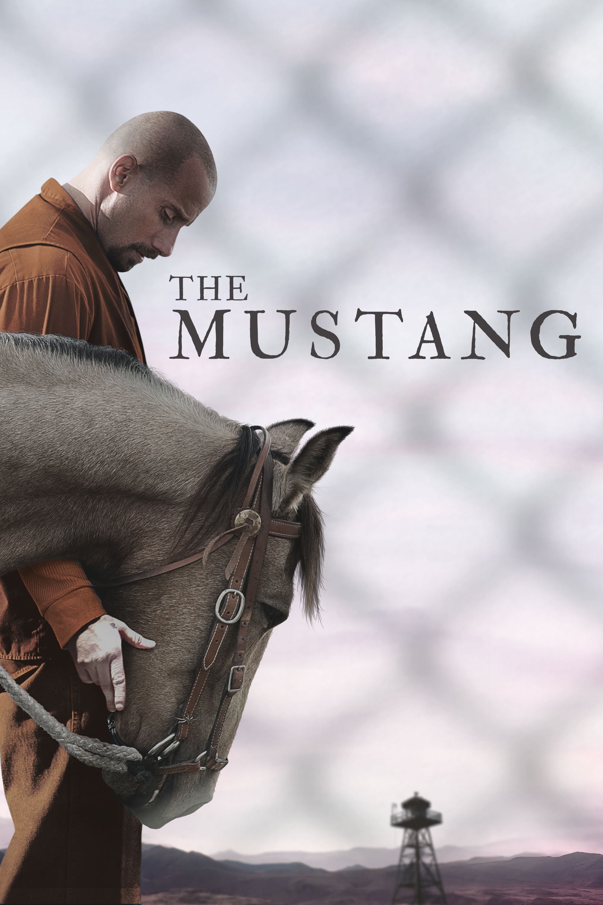 Mustang: Thuần hóa (The Mustang) [2019]