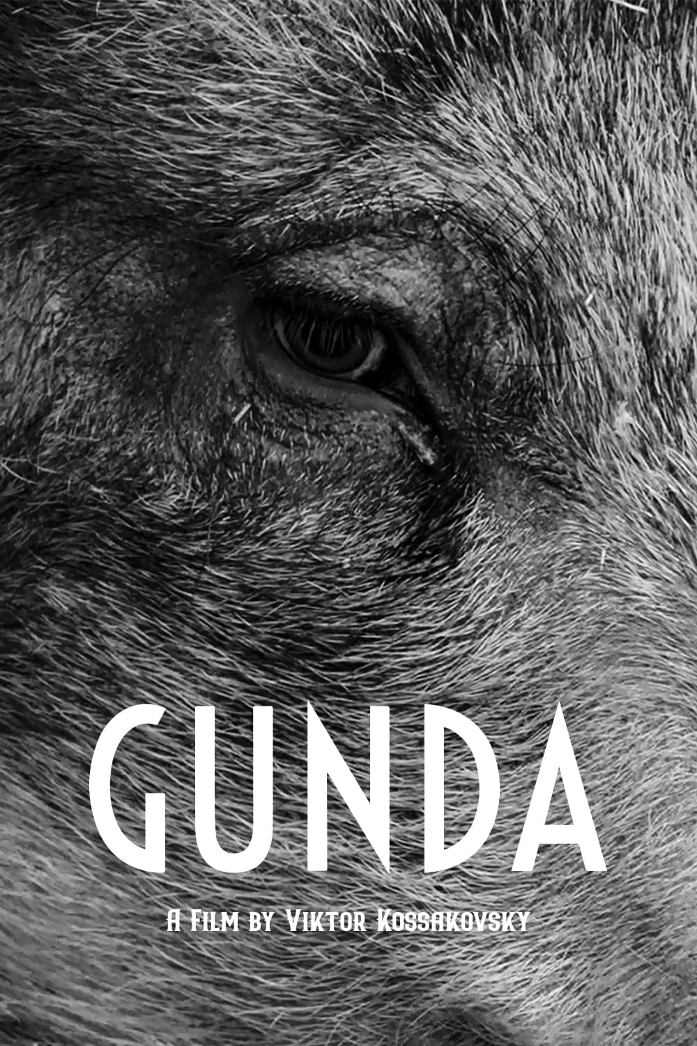 Gunda (Gunda) [2021]
