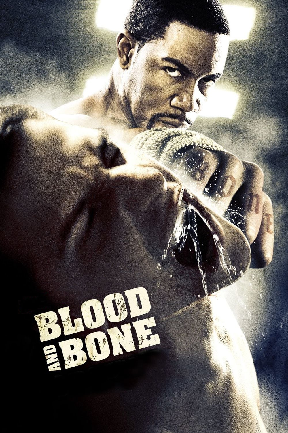 Máu và Xương (Blood and Bone) [2009]