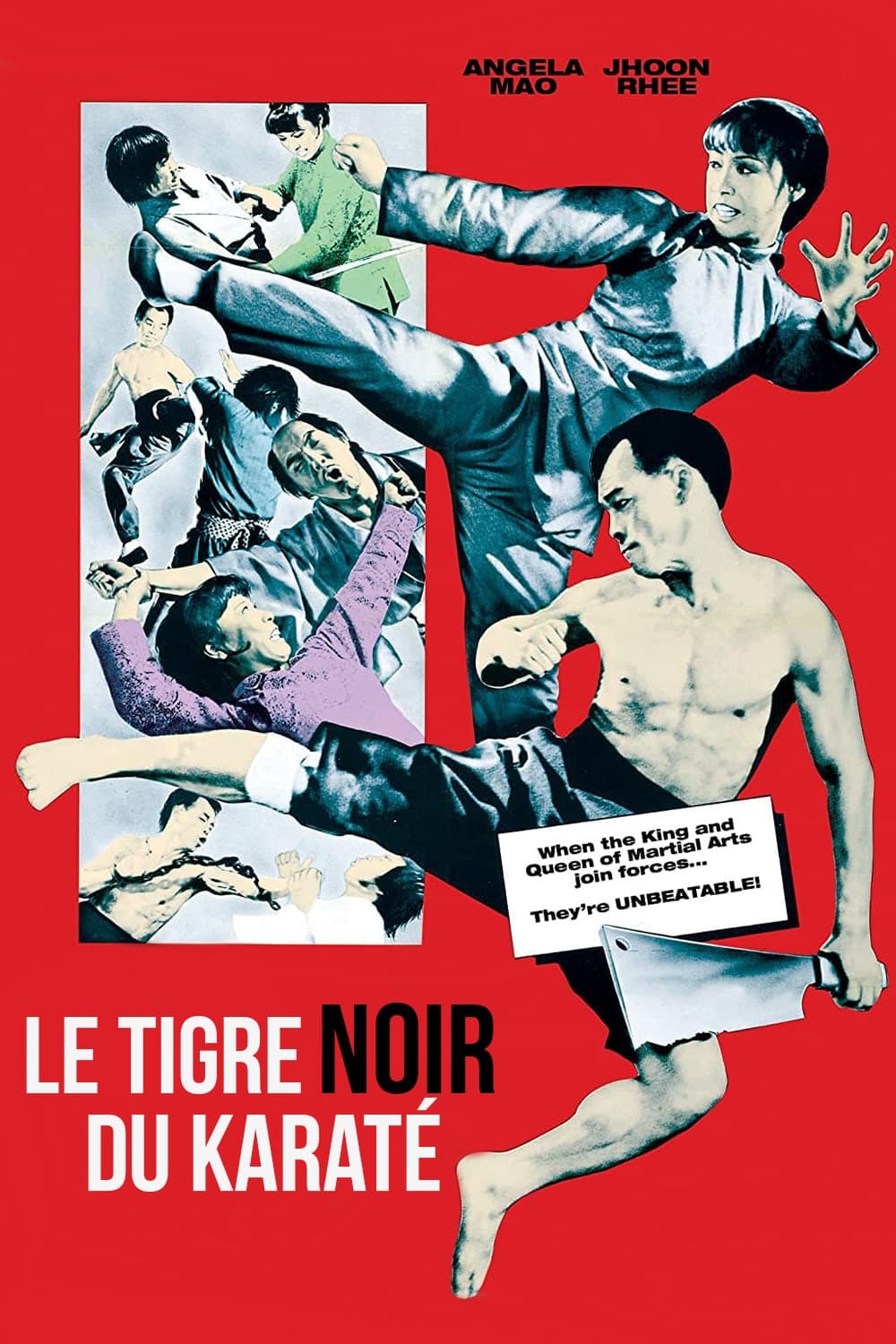 Taekwondo Chấn Cửu Châu (When Taekwondo Strikes) [1973]