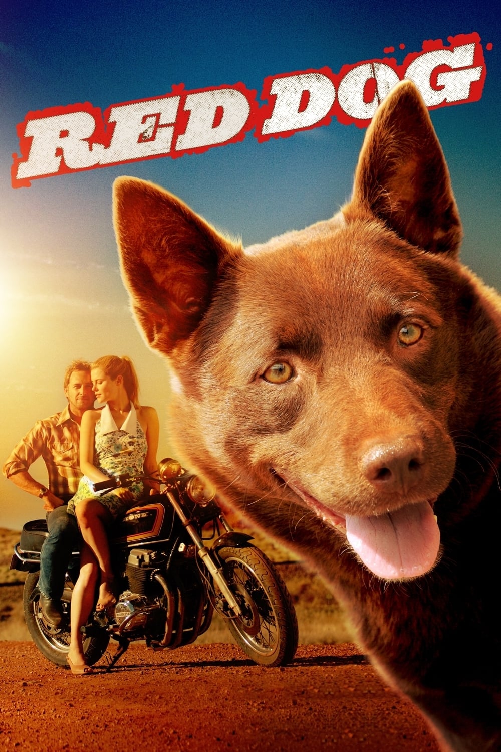 Chú Chó Đỏ - Red Dog (2011)