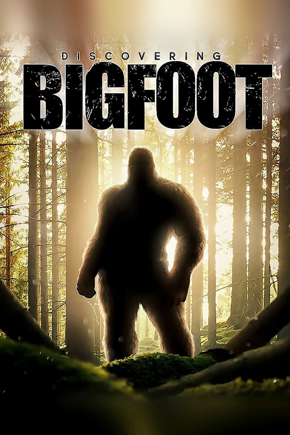 Truy Tìm Bigfoot (Discovering Bigfoot) [2017]