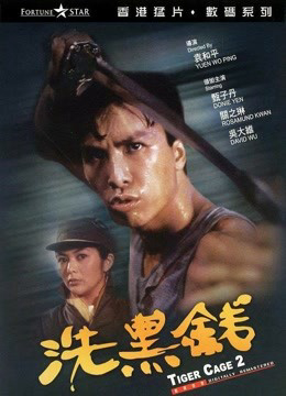 Lồng Hổ 2 (Tiger Cage II) [1990]