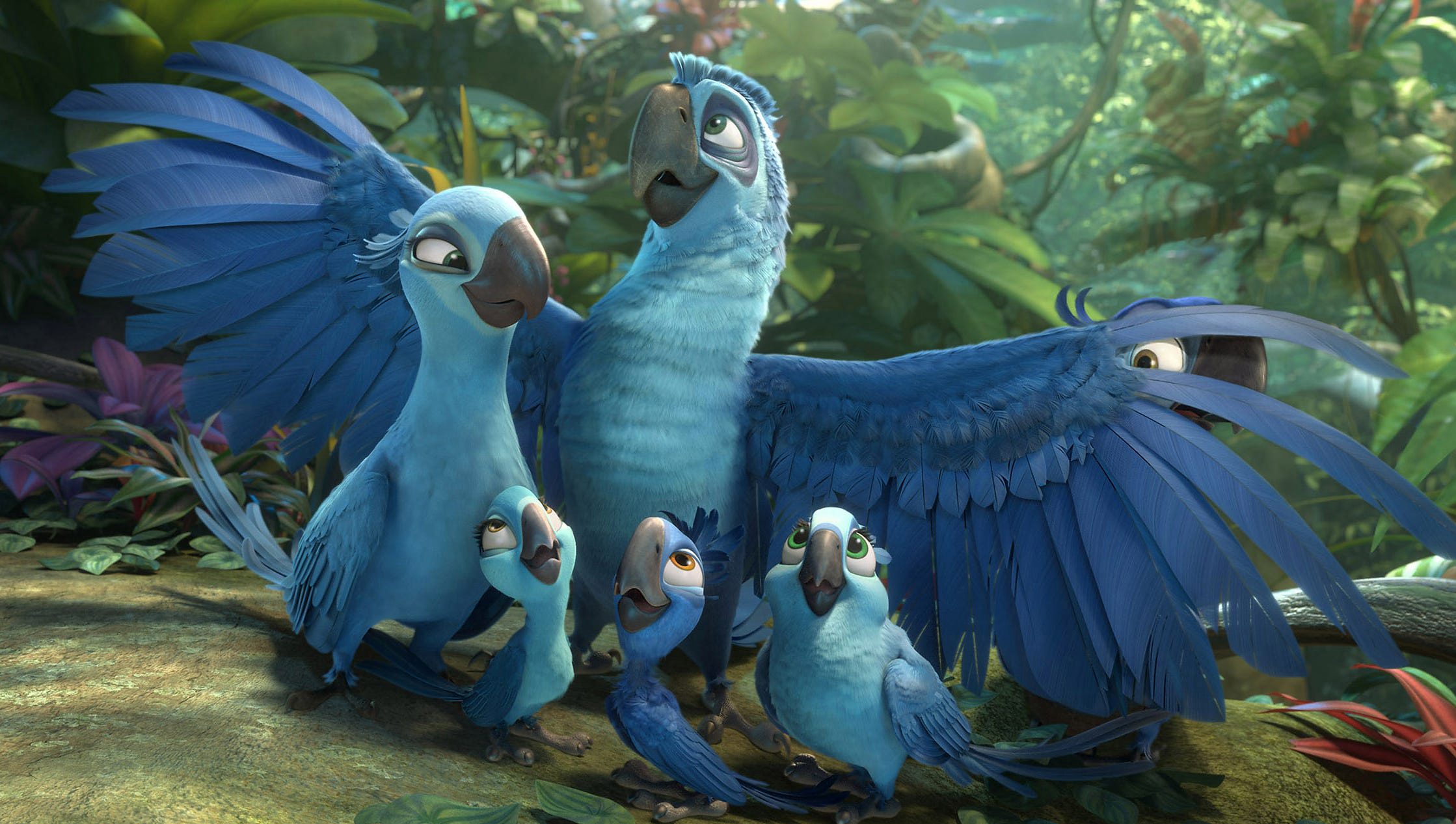 Chú Vẹt Rio (2011) - Rio (2011) - Vietsub