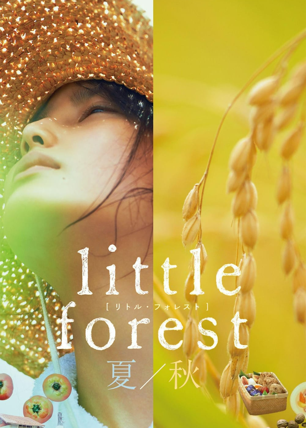 Cánh Đồng Nhỏ: Mùa Hạ Và Thu (Little Forest: Summer/Autumn) [2014]