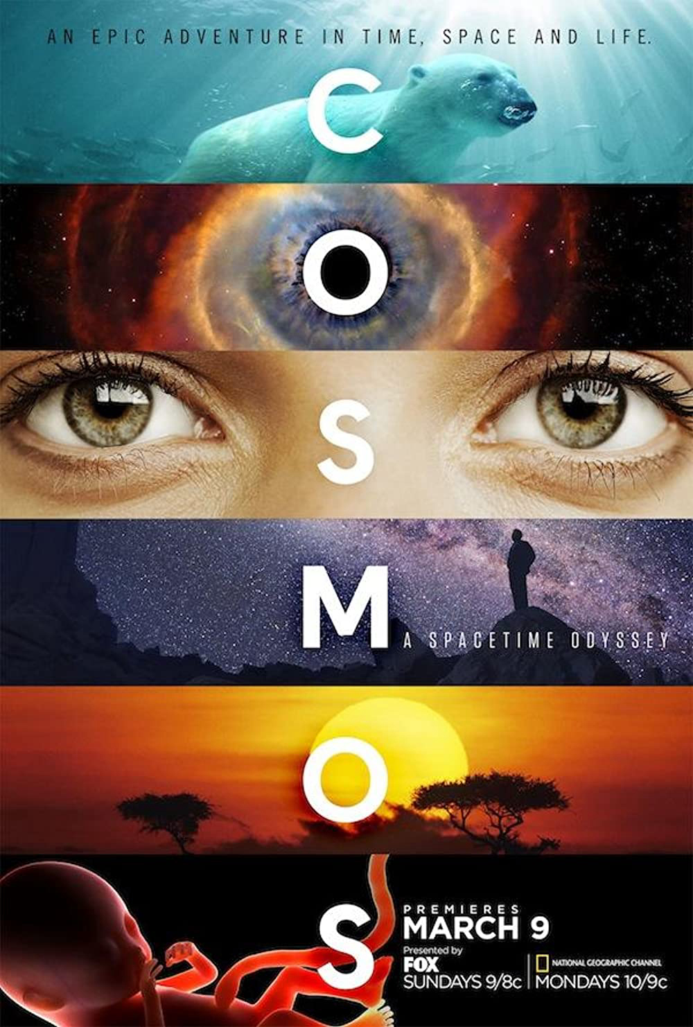 Vũ Trụ Kỳ Diệu (Phần 1) (Cosmos: A SpaceTime Odyssey (Season 1)) [2014]