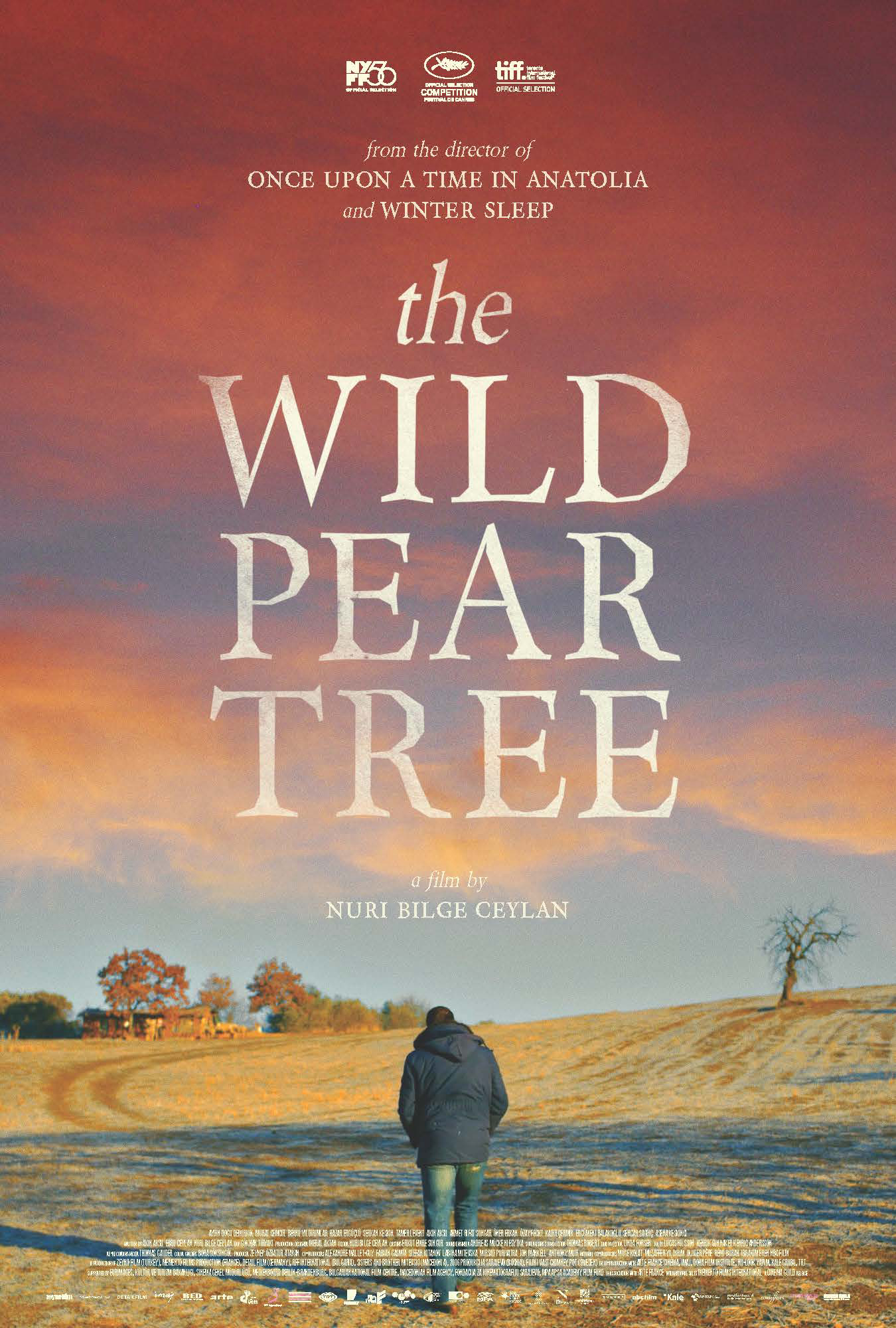 Cây Lê Dại (The Wild Pear Tree) [2018]