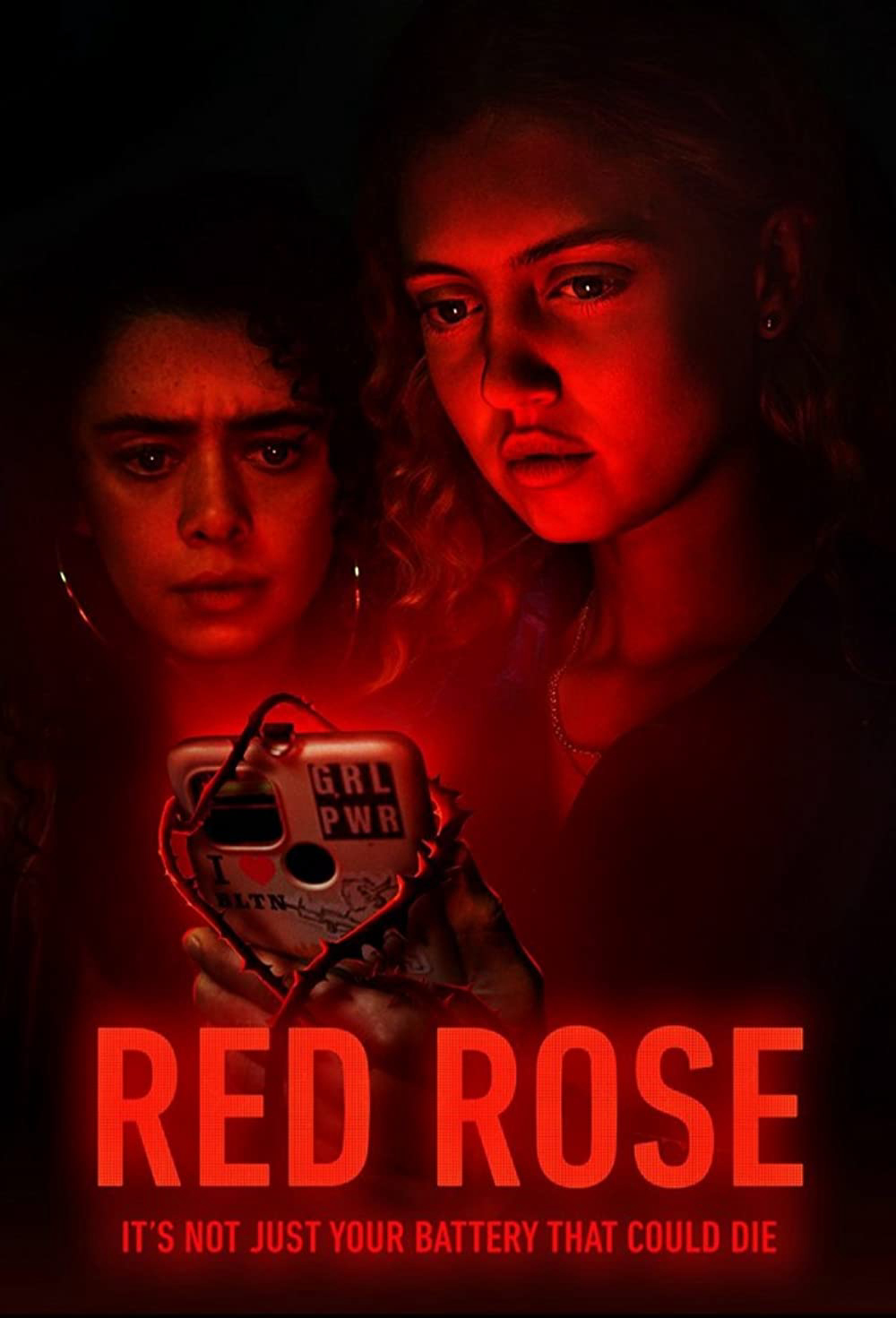 Hoa Hồng Đỏ - Red Rose (2023)