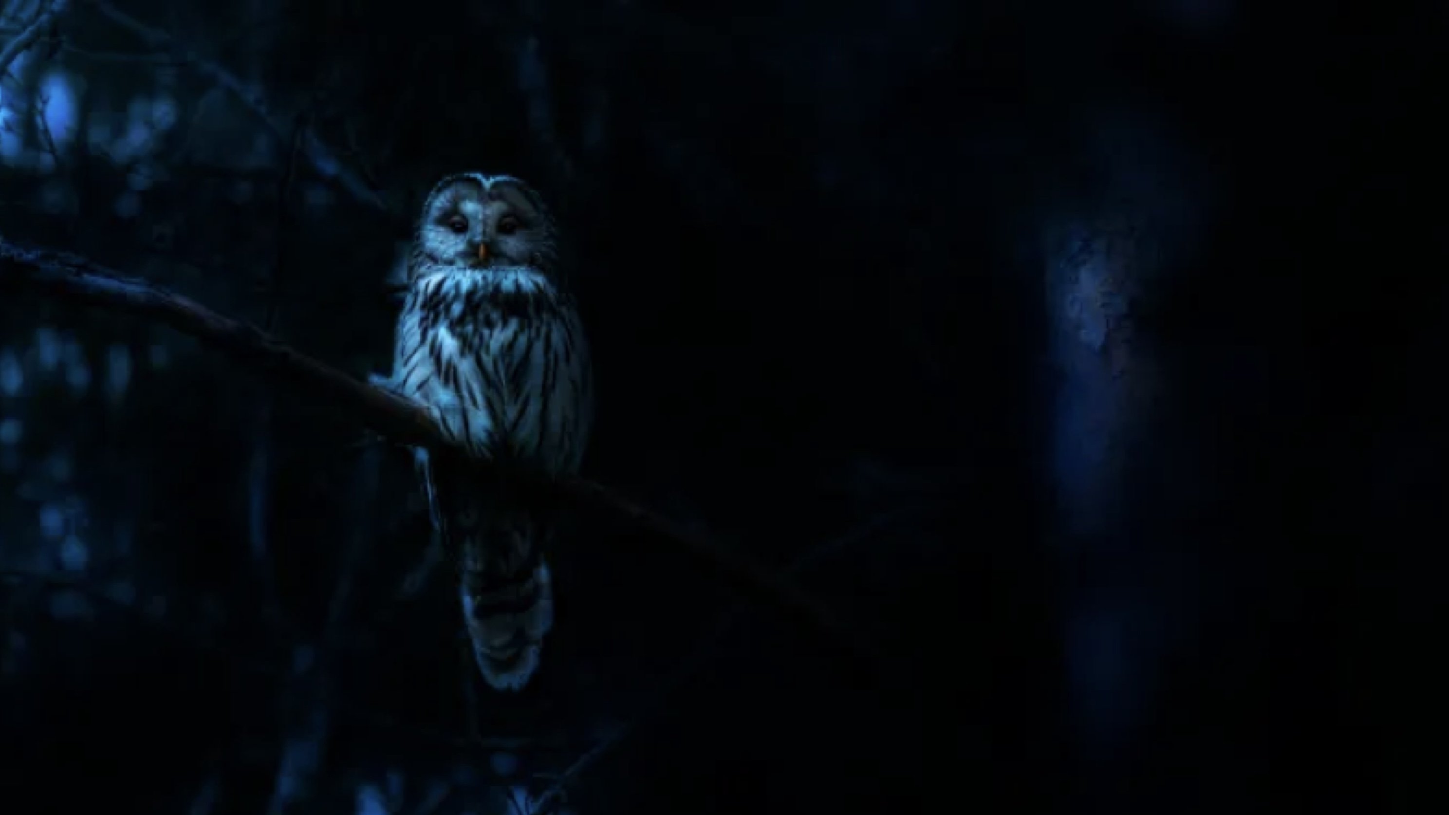 Ác Mộng Của Thiên Nhiên (Phần 1)